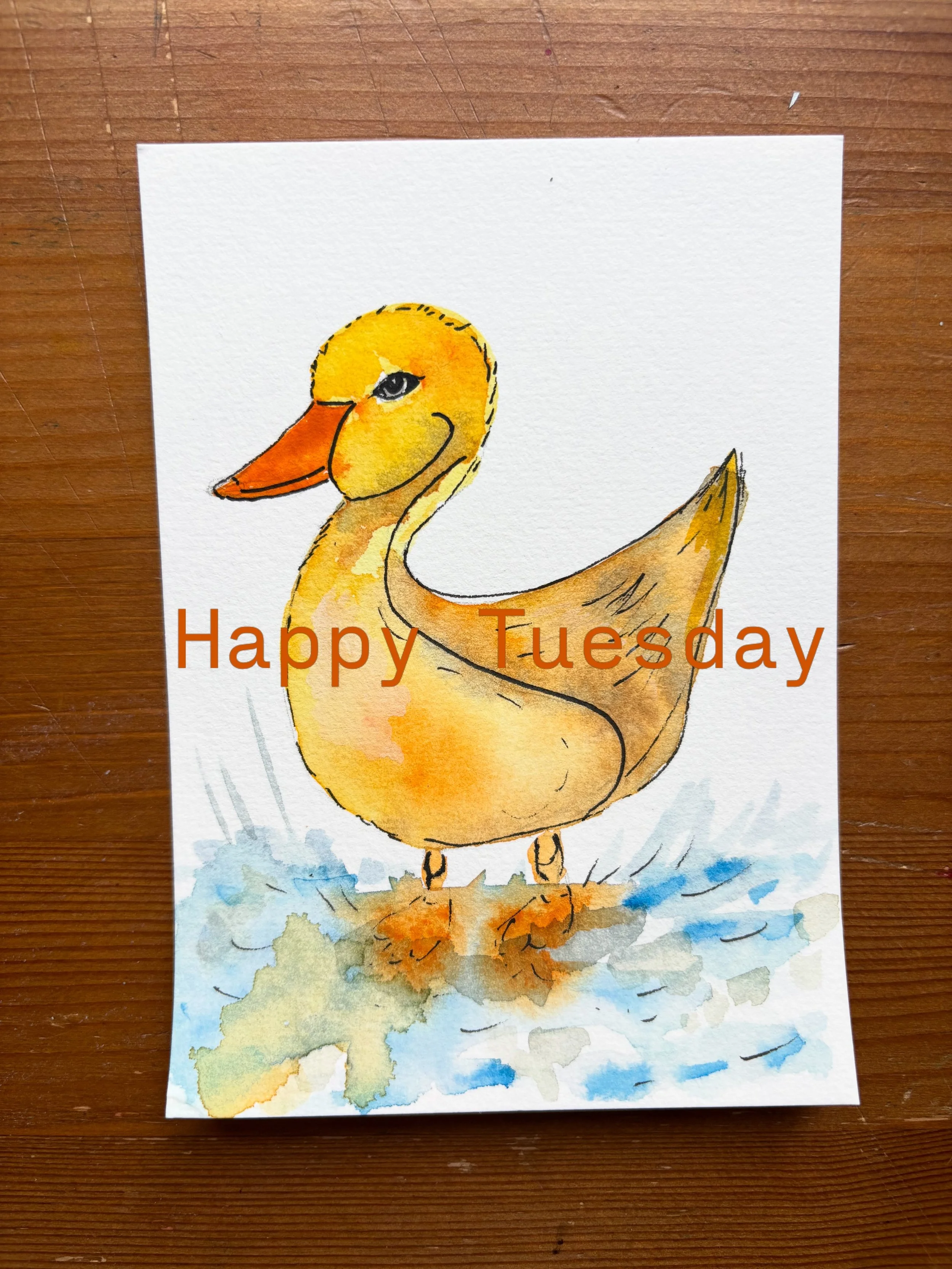 Happy Tuesday (from this duckie that is not sure how to feel about today&rsquo;s rainy weather)