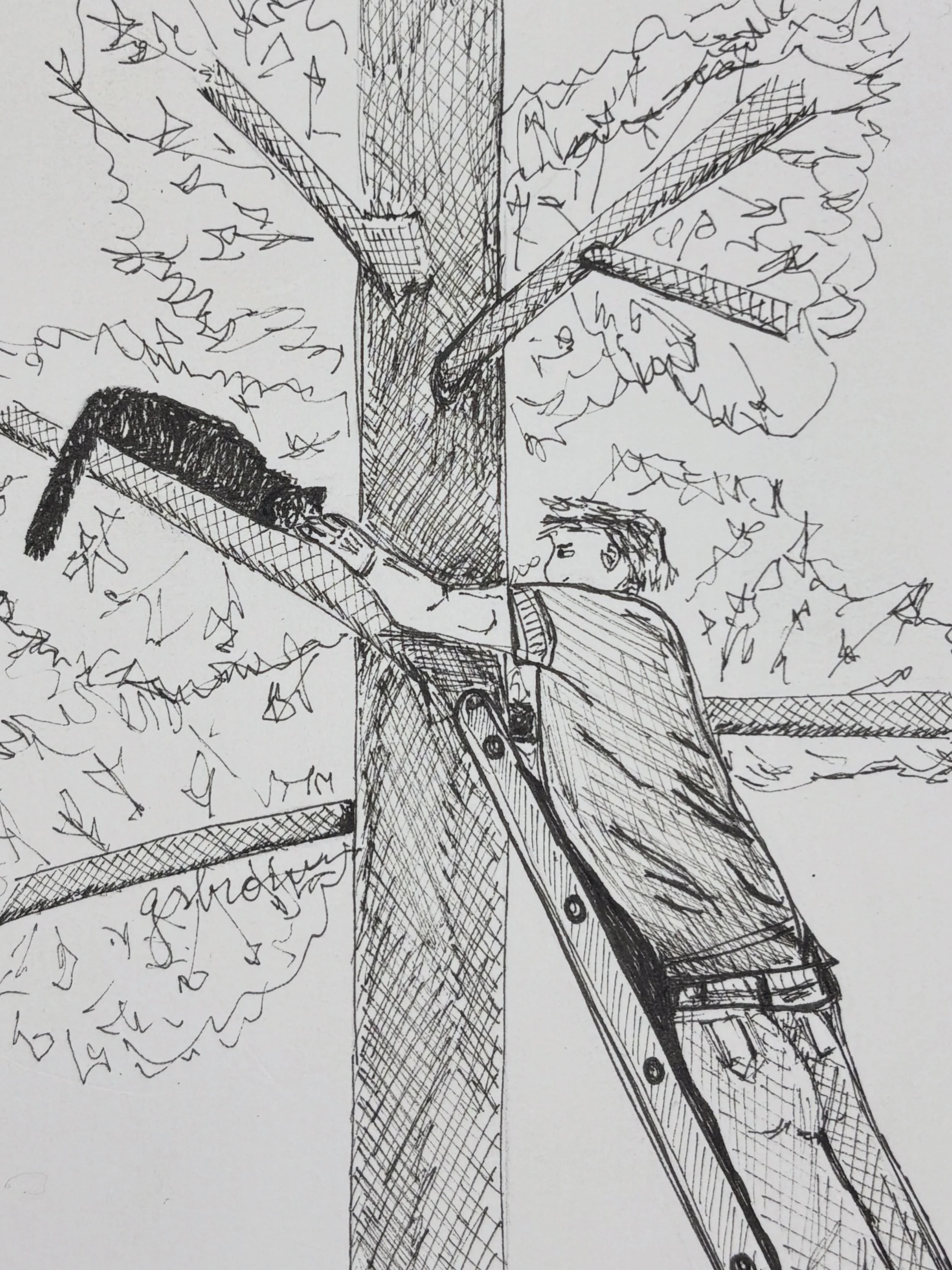 Inktober 2026 Day 11: Rescue

&mdash;
The next morning, Joy awoke too early to a commotion outside.  She looked out her window to see a small crowd gathering by a large tree across the street. 

She threw on a sweatshirt and went outside to see what 