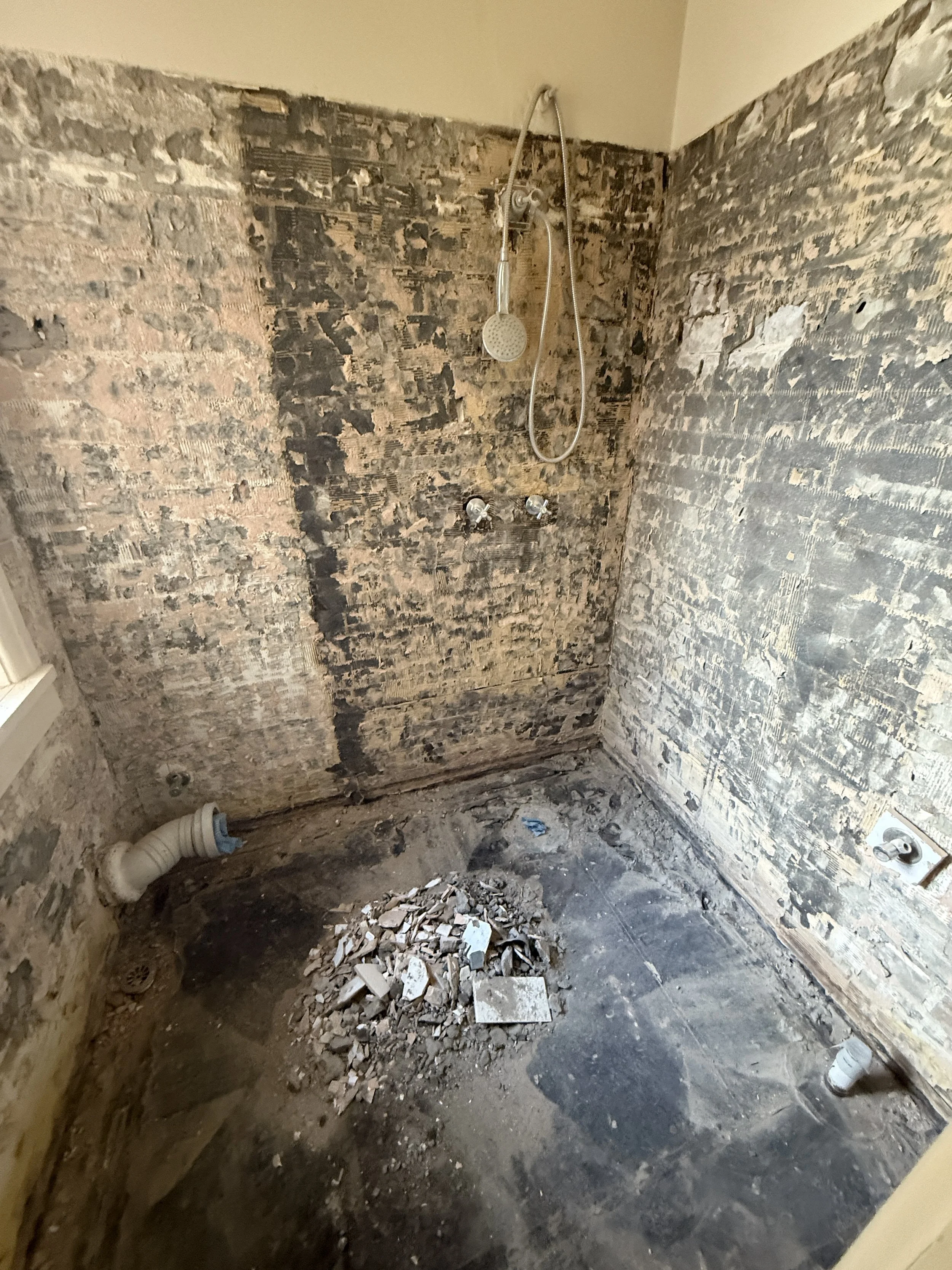 8 (toilet demo).JPG