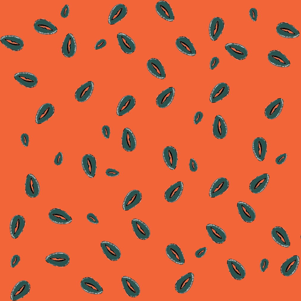 coordinate shells coloured.png