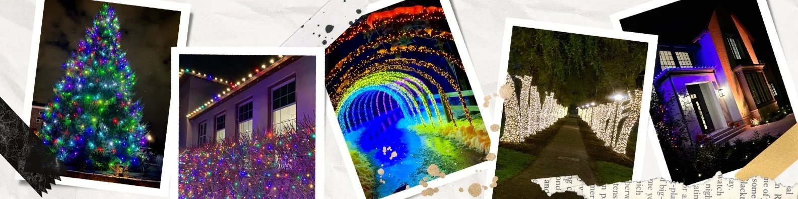 pictures of Christmas lights, Christmas tree outside with RGB C9 bulbs that change colors, colorful holiday lights on bushes and roof, trees at Colgate University wrapped in lights, rainbow tunnel of lights at Syracuse zoo, purple halloween lights