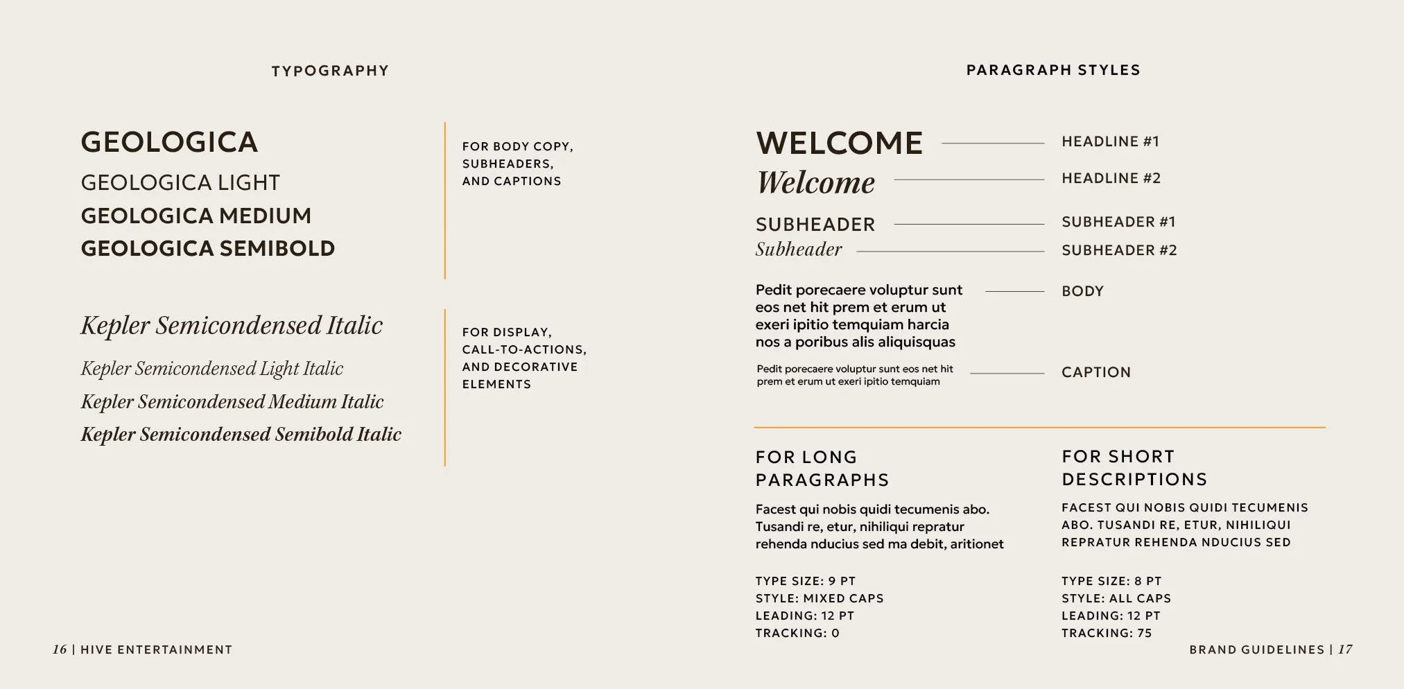 Hive Brand Guidelines-Book212.jpg
