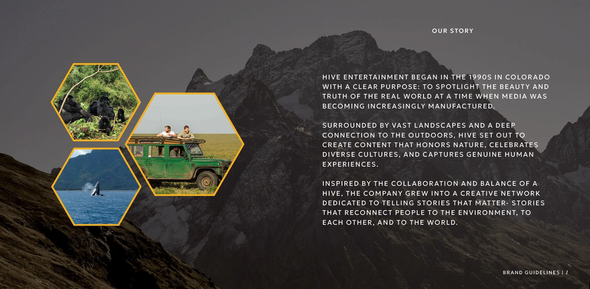 Hive Brand Guidelines-Book24.jpg