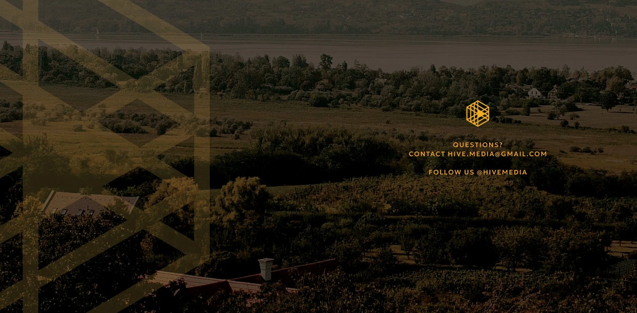 Hive Brand Guidelines-Book222.jpg