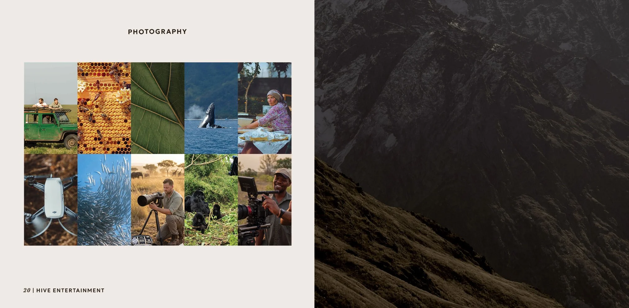 Hive Brand Guidelines-Book214.jpg