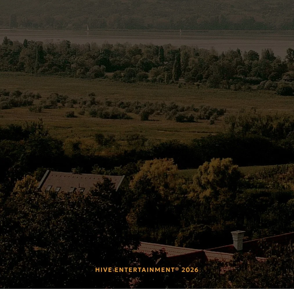Hive Brand Guidelines-Book223.jpg