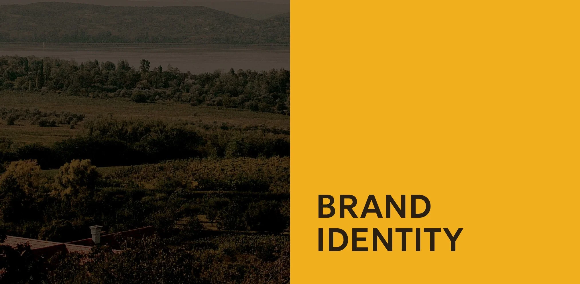 Hive Brand Guidelines-Book27.jpg
