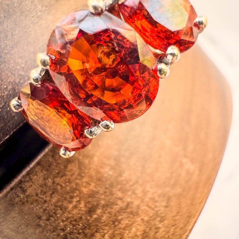 Heirloom Hunt  -1211.jpg