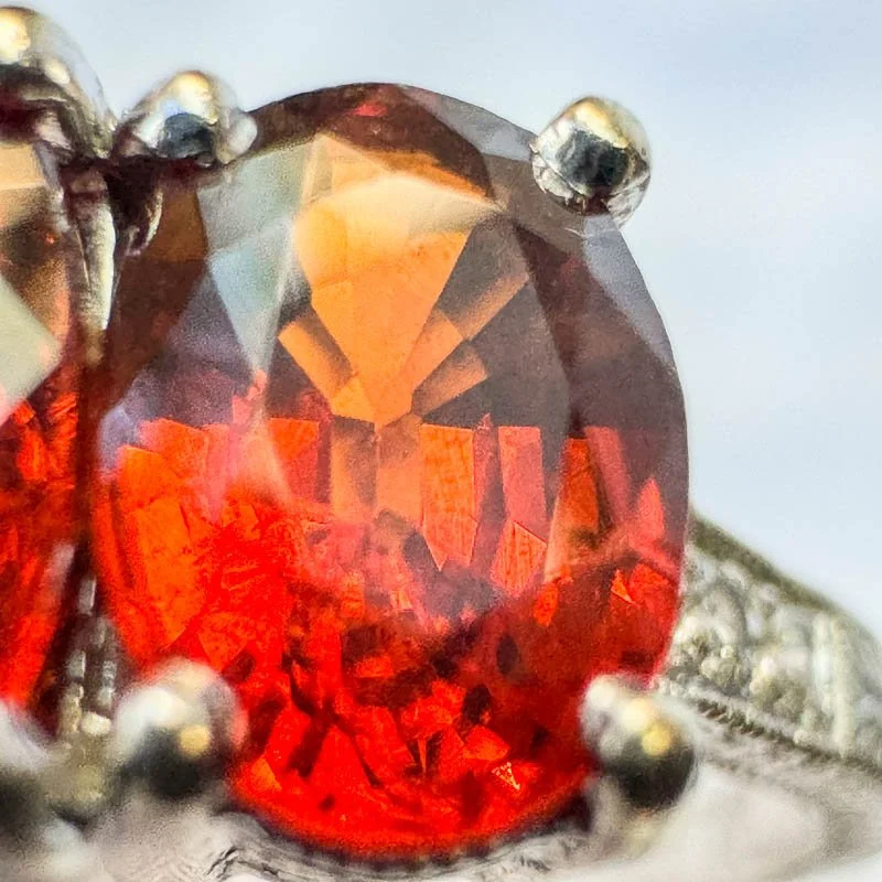 Heirloom Hunt  -1095.jpg