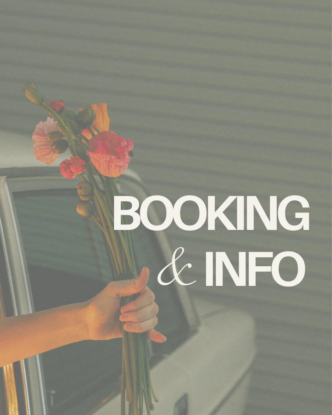thought an updated booking/info post was in order :) lots of other faq&rsquo;s are answered on my website!

cheeeers xoxo love u lots ♡