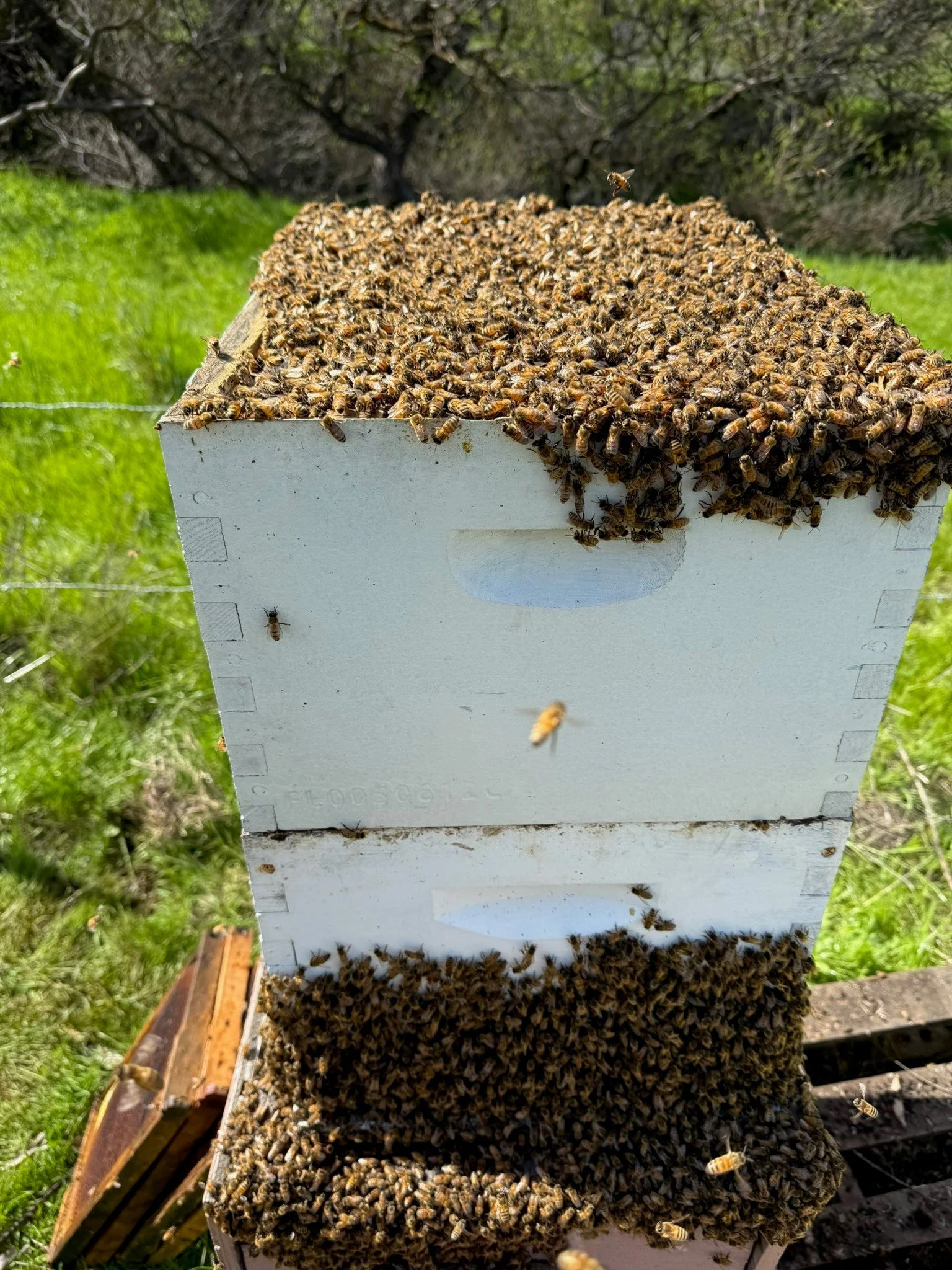 Get these girls another super (aka box)!