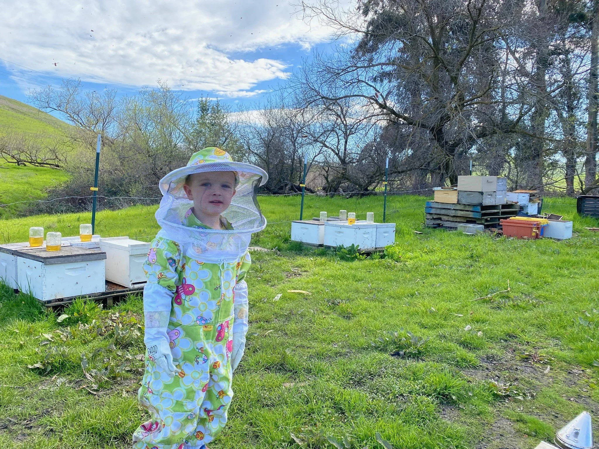 Our other mini beekeeper 