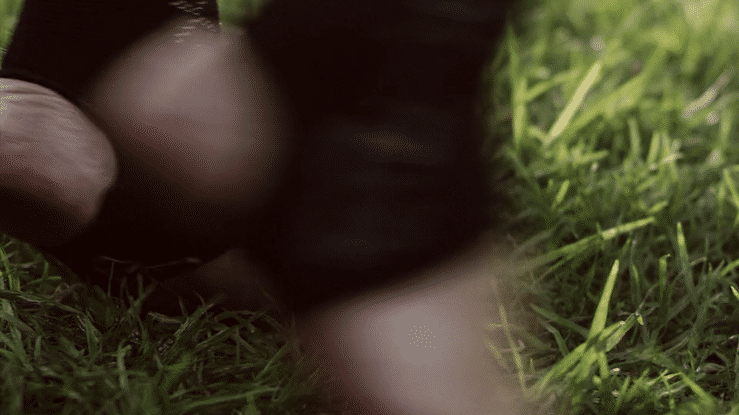 Release The Dragon-high.gif