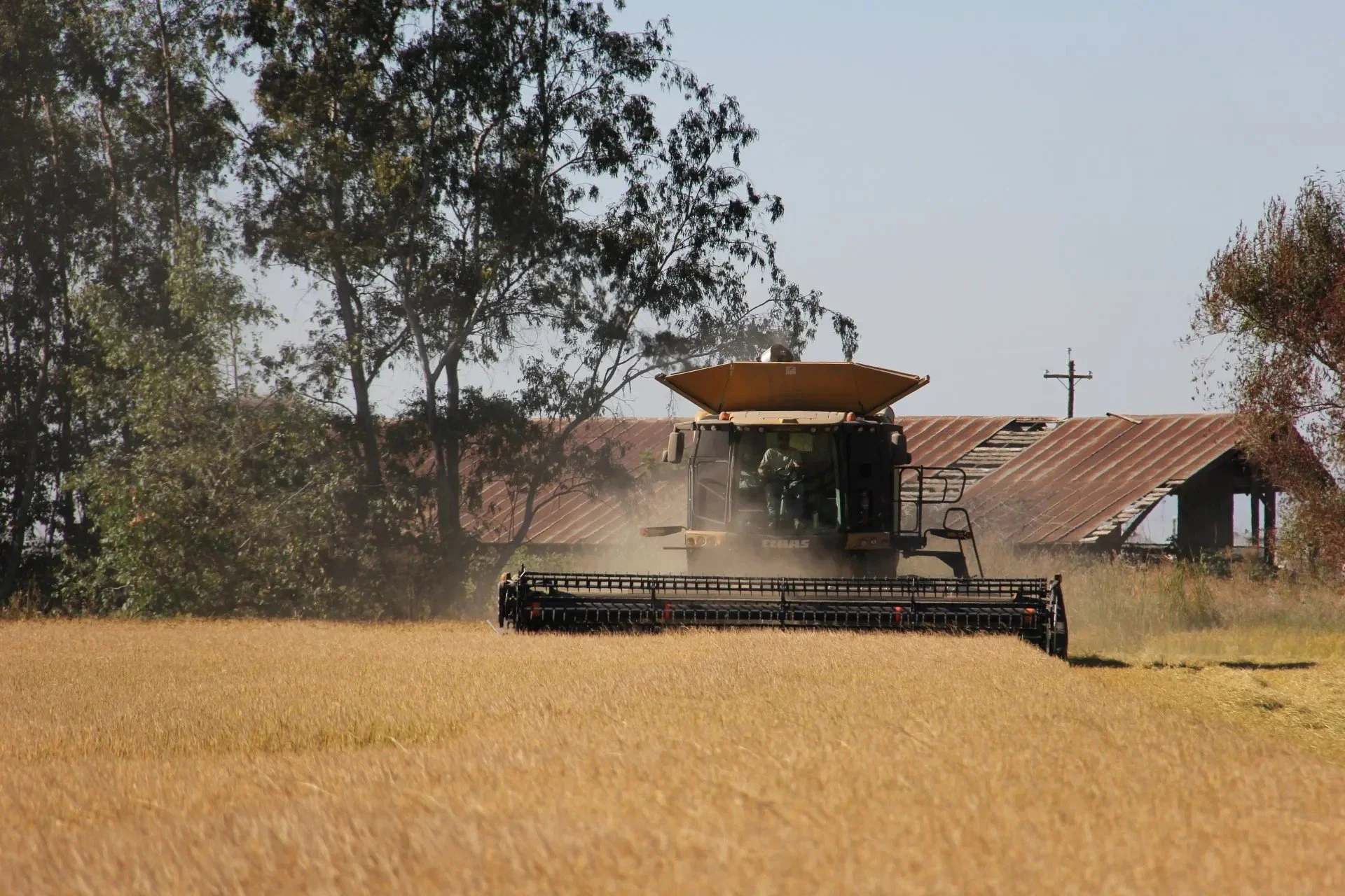 farm pic.jpeg