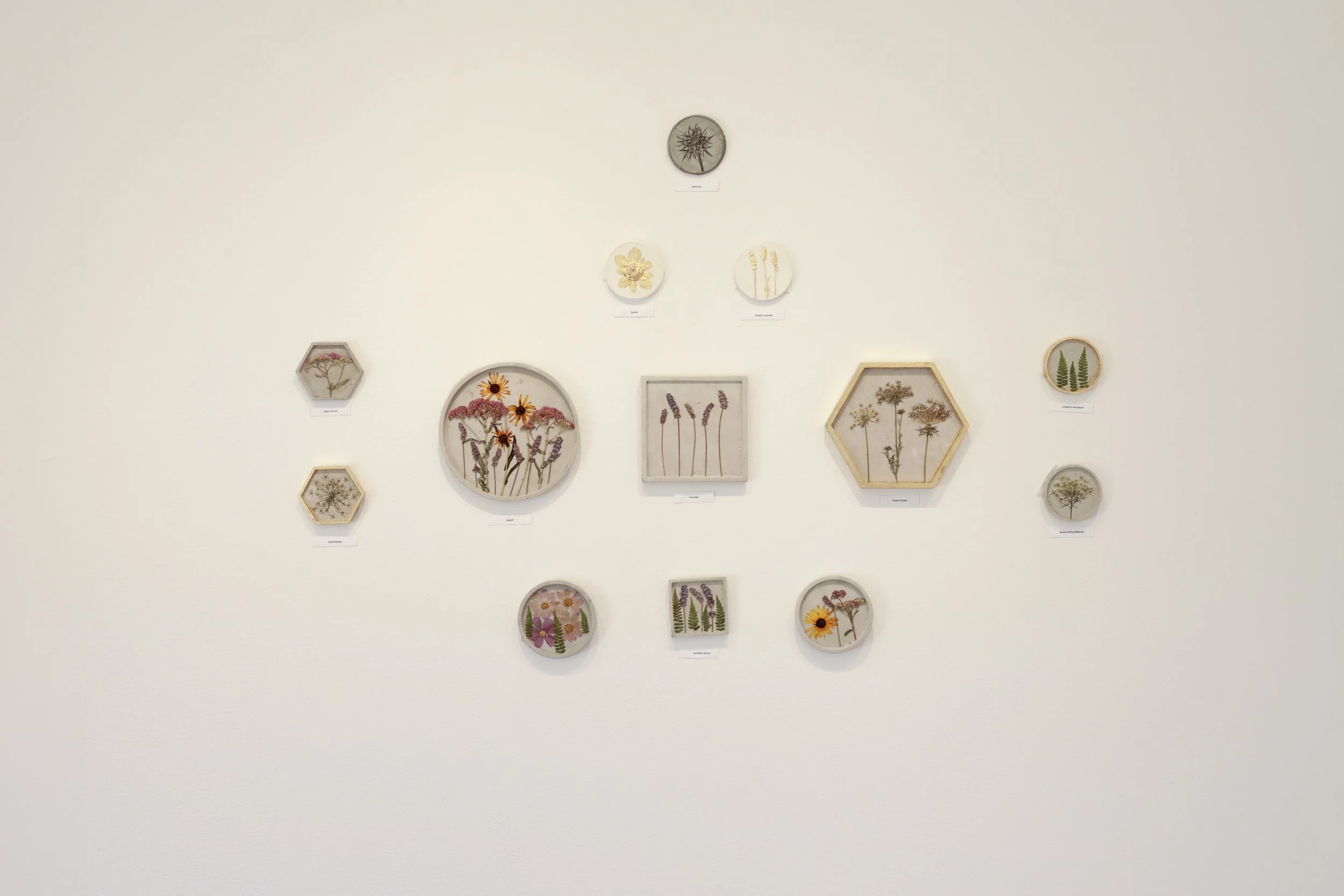 "Growing Gray Gardens" Liz Nichols