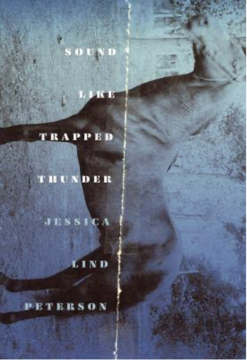 Sound Like Trapped Thunder, Jessica Lind Peterson