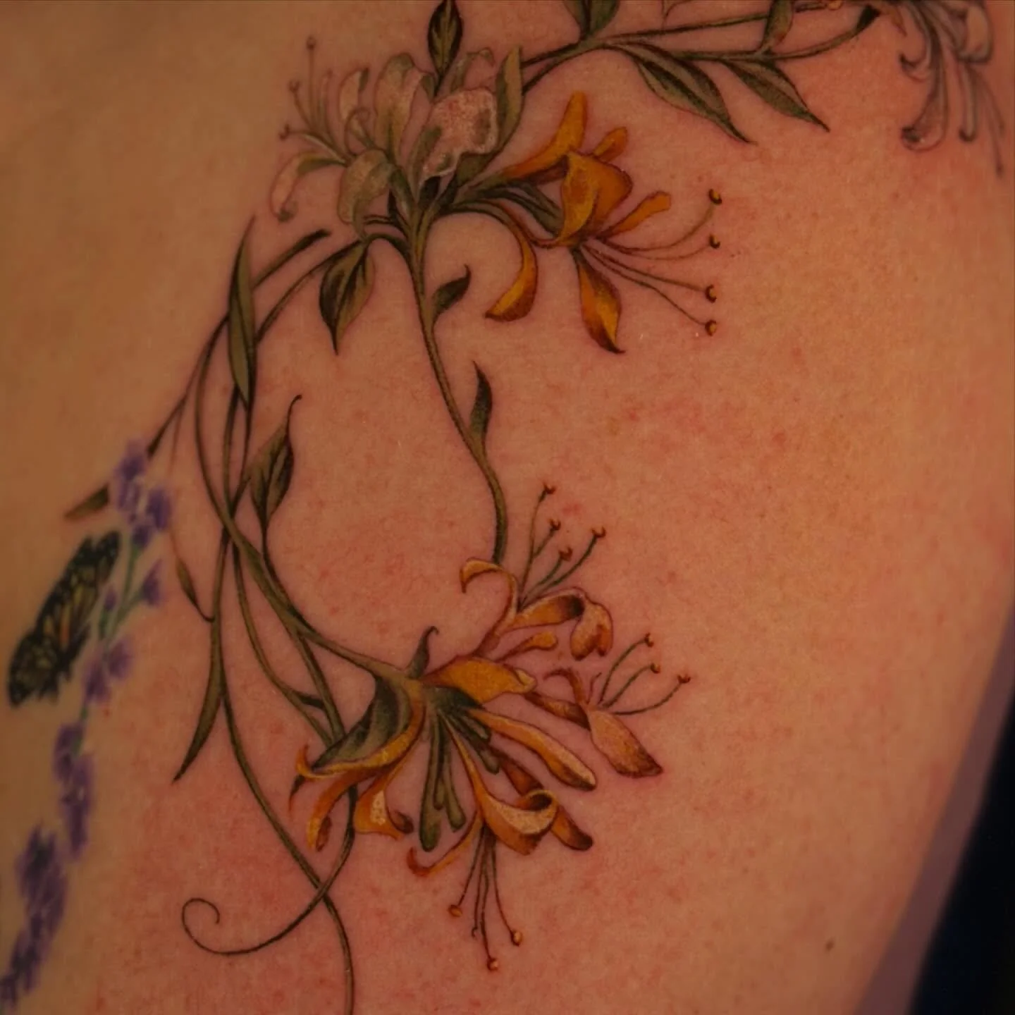 Honey suckles for Michelle ✨ 

#honeysuckletattoo #honeysuckle #flowertattoo #sanantoniotattooartist #sanantoniotattoos