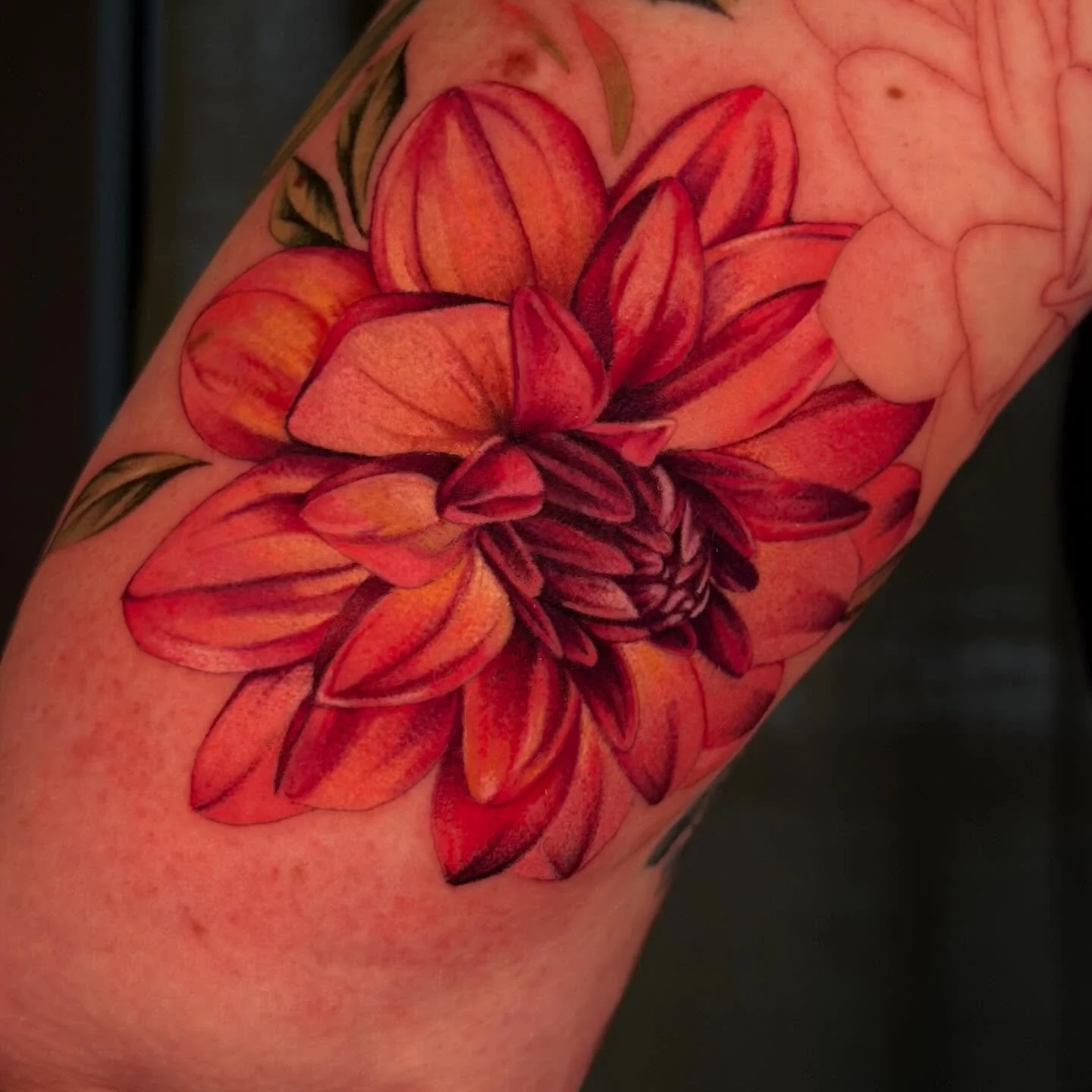 Flowers flowers flowers ✨

Photos of flowers I&rsquo;ve done in the past few weeks 🥰

#sanantoniotattoos #austintattooartist #sanantoniotattooartist