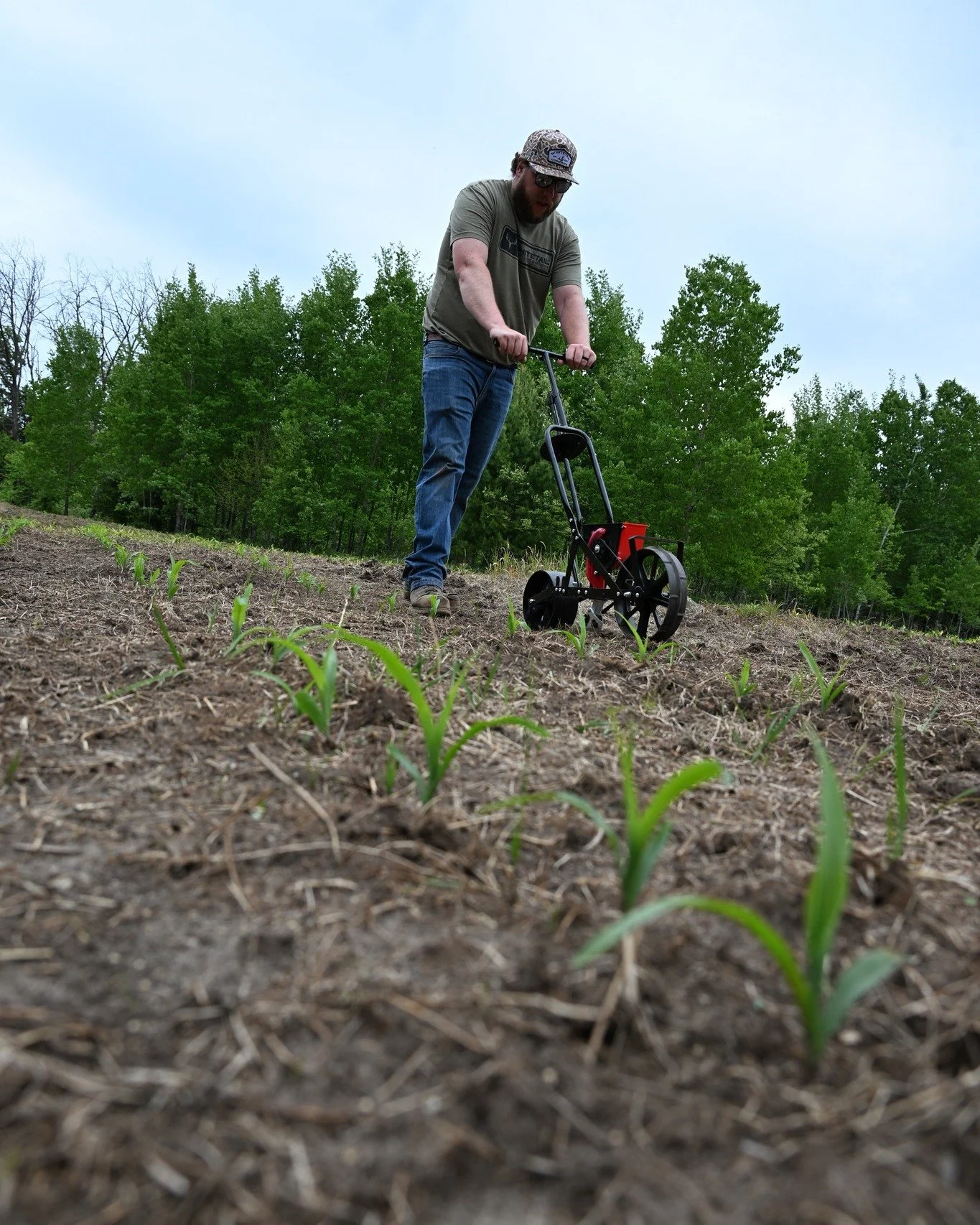 Summer deer chores coming along nicely. 

 #deerhunting #foodplotseason #landmanagement #hunting #foodplots #nature #deer #whitetail