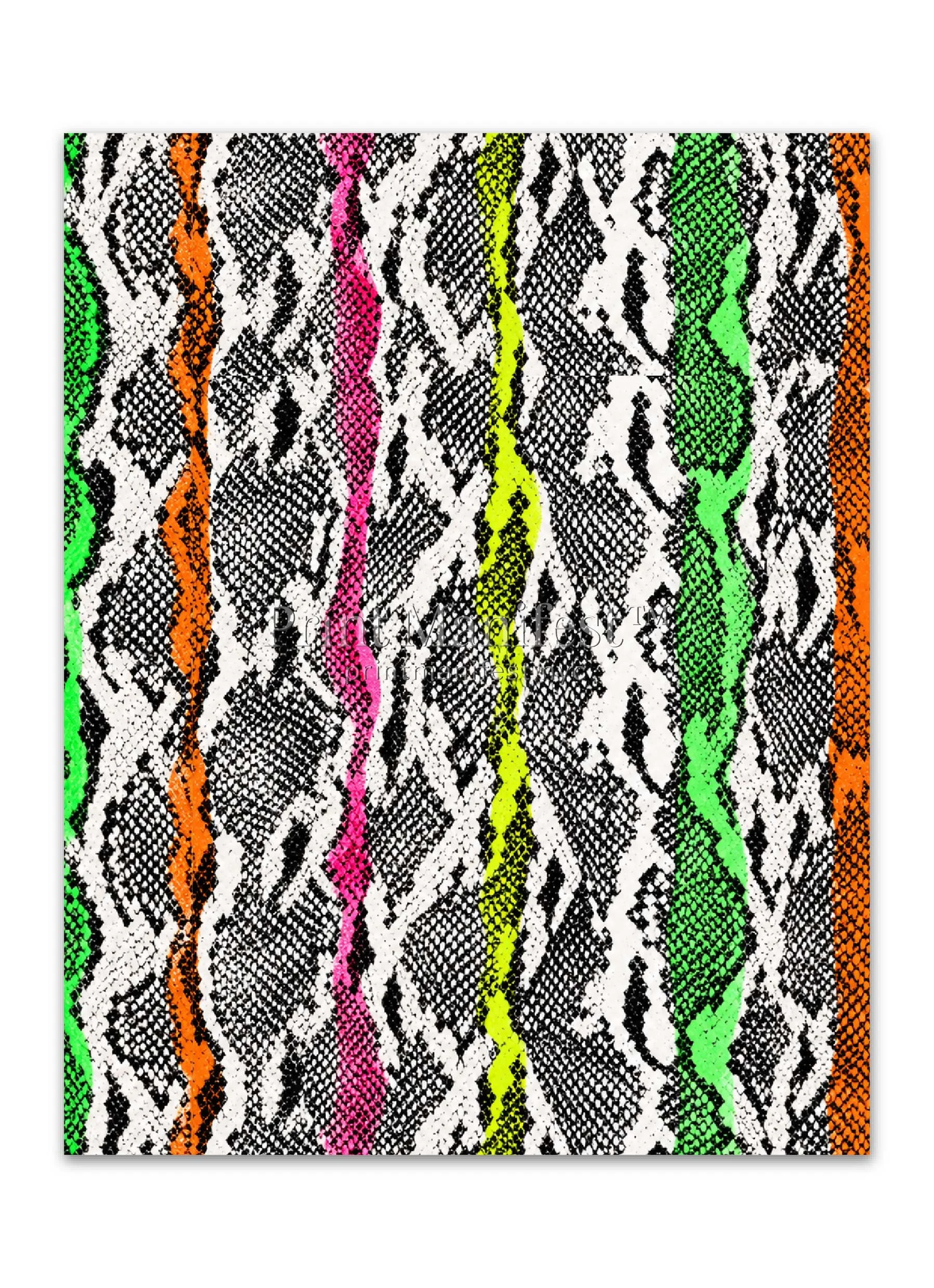 Neon Python Stripe