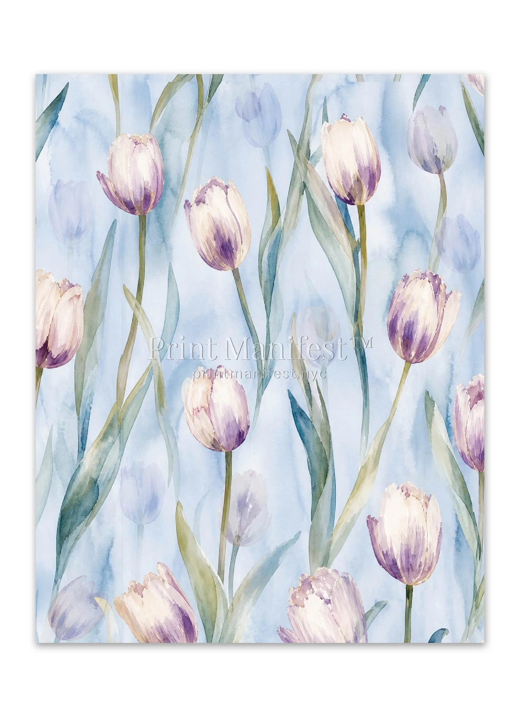 Tulip Drift
