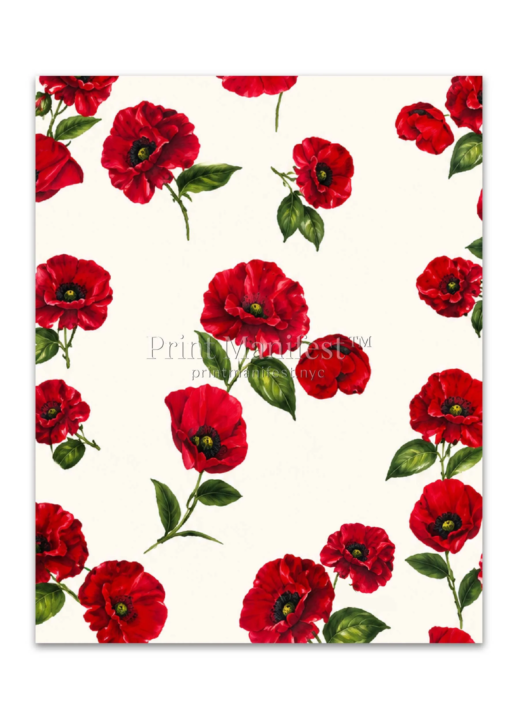 Summer Poppy Garden