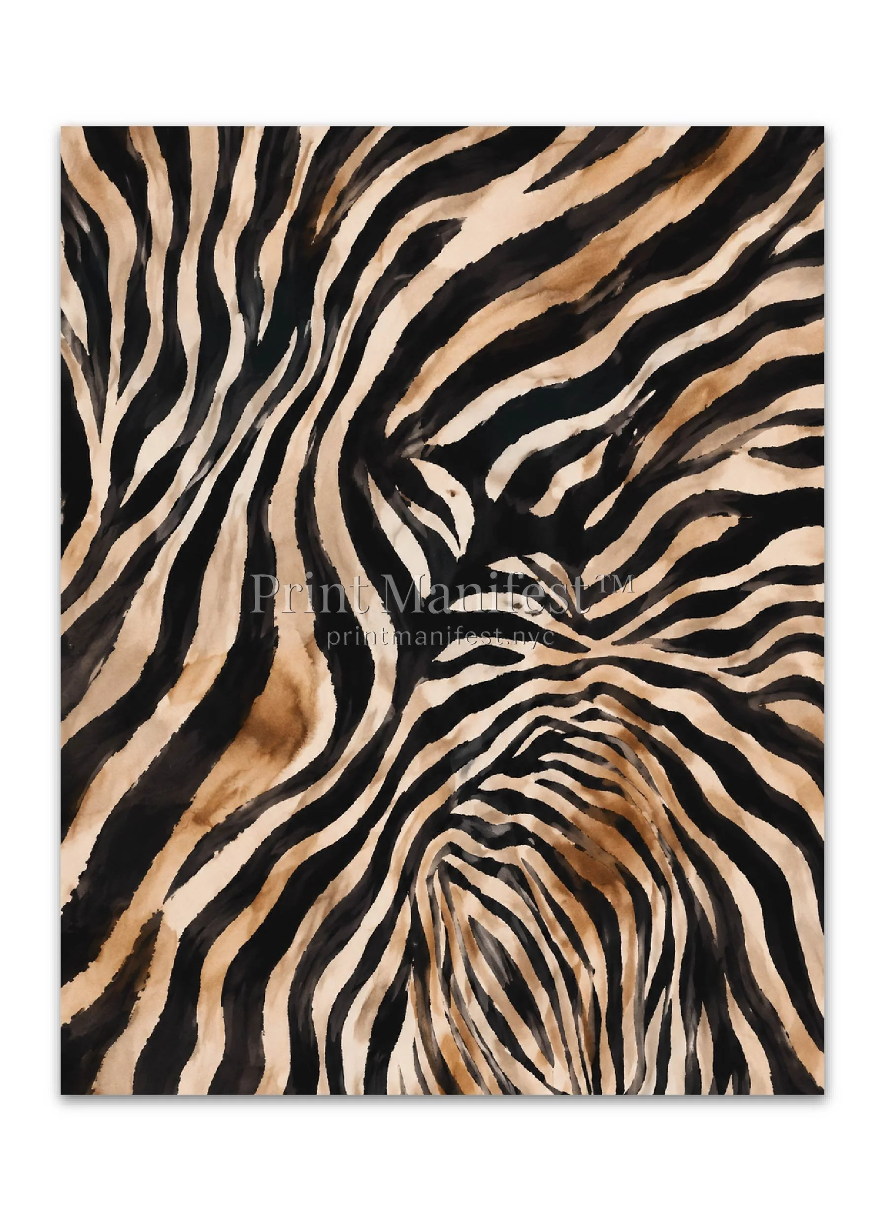 Desert Zebra