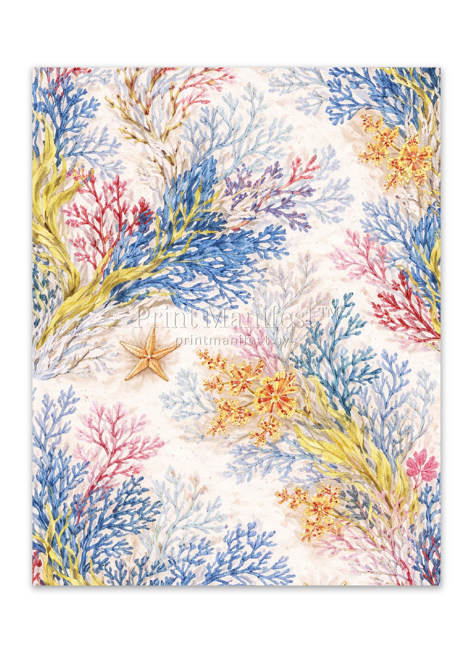 Coral Reef