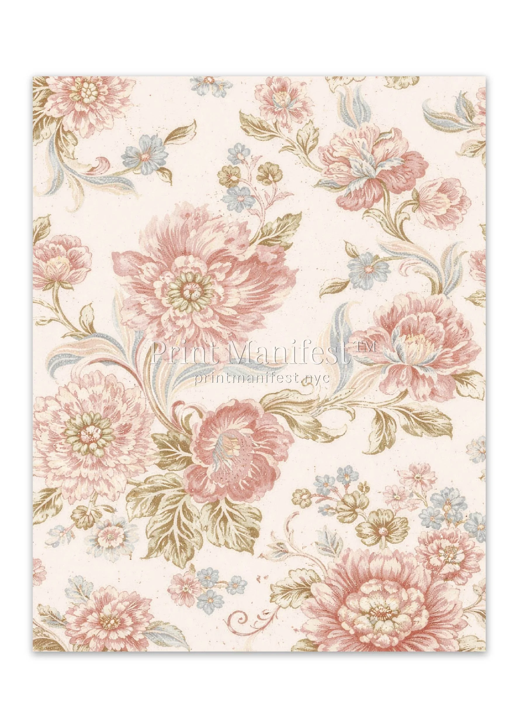 Rose Garden Study