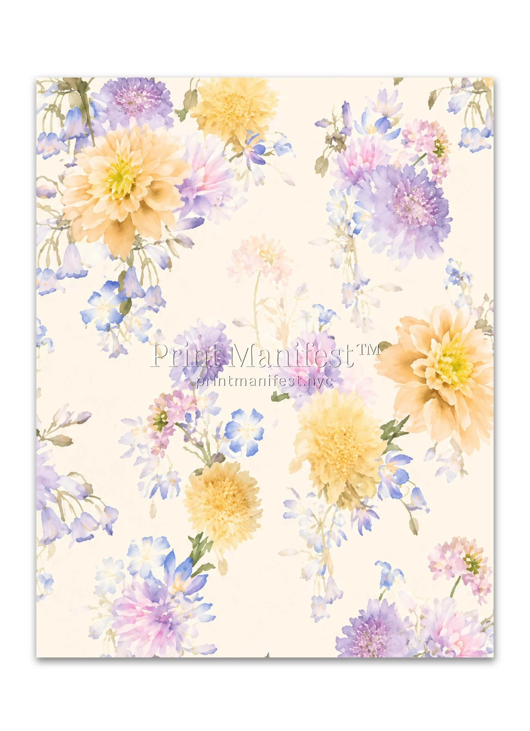 Cream Dahlia Daydream