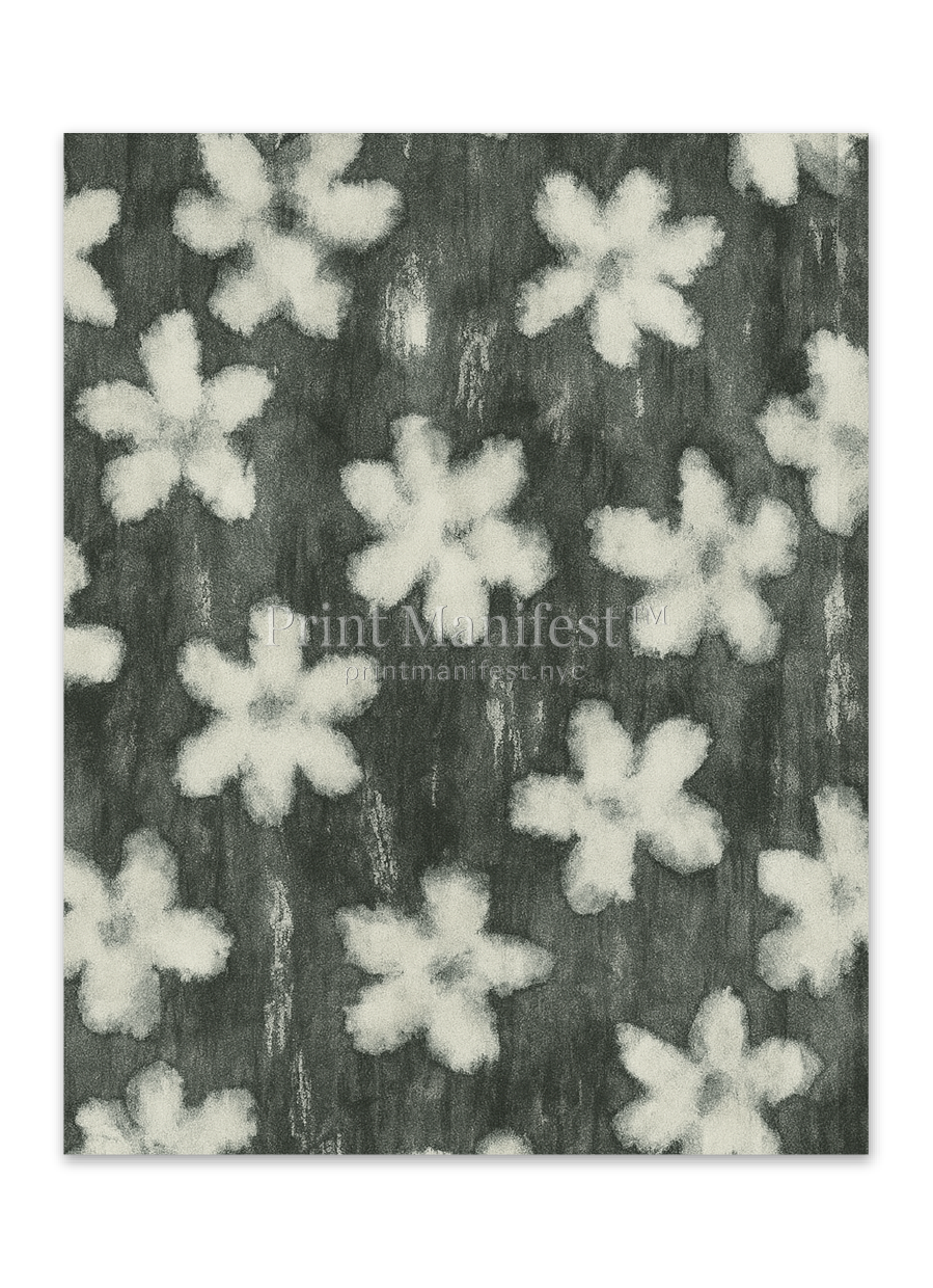 Faded Daisy