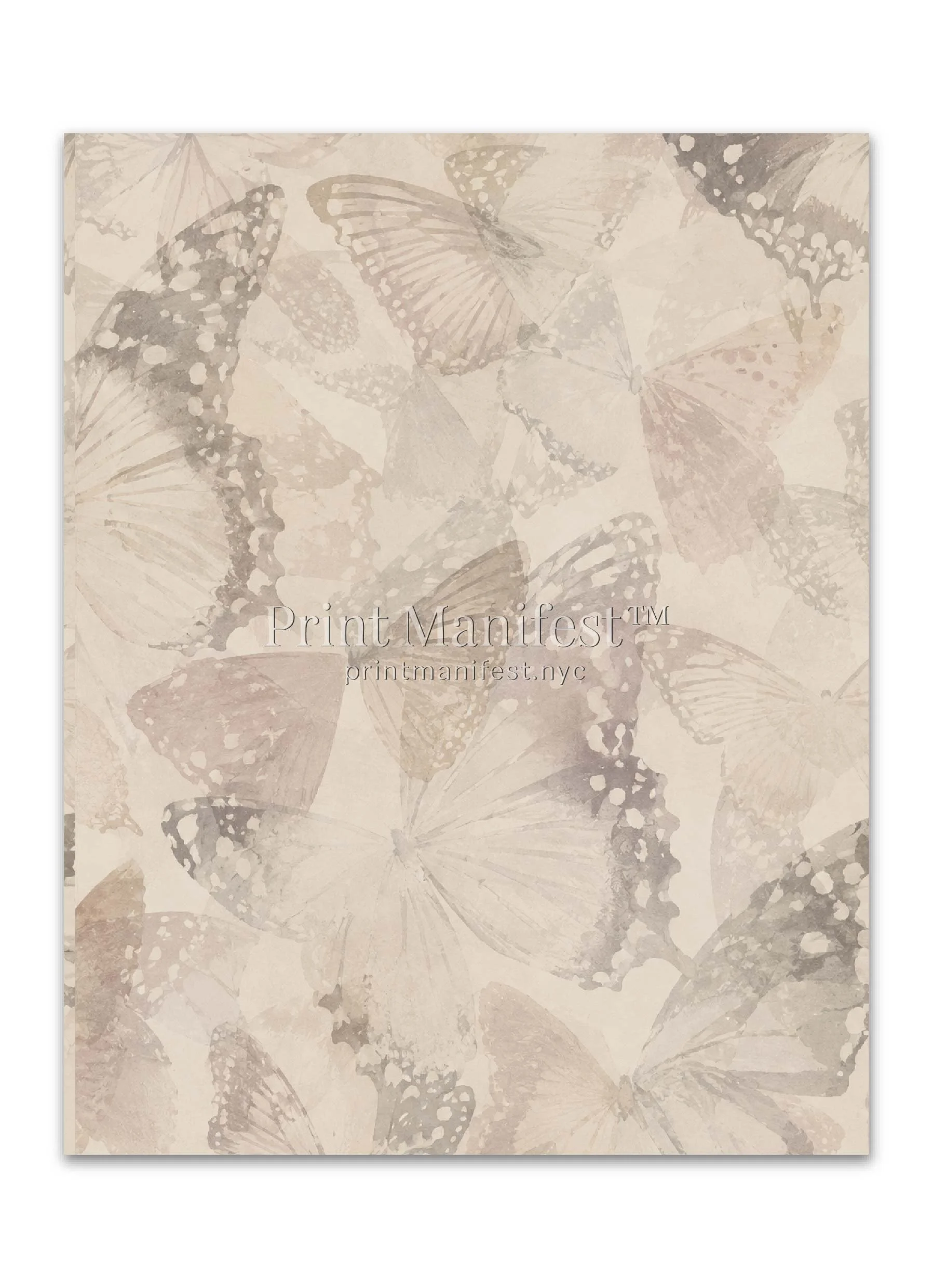Whisperwing Butterfly
