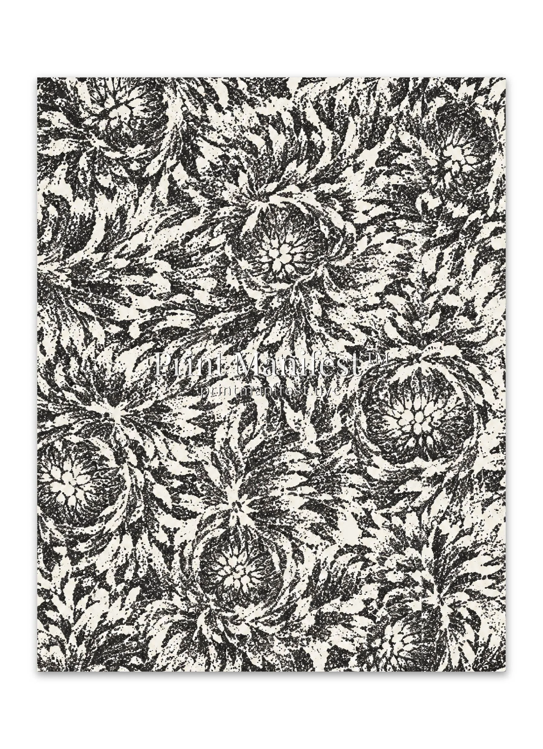 Midnight Chrysanthemum