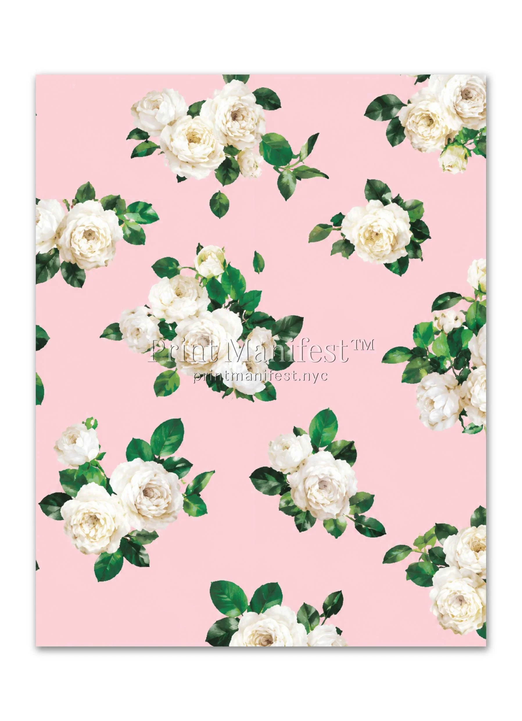 Blush Rose Garden