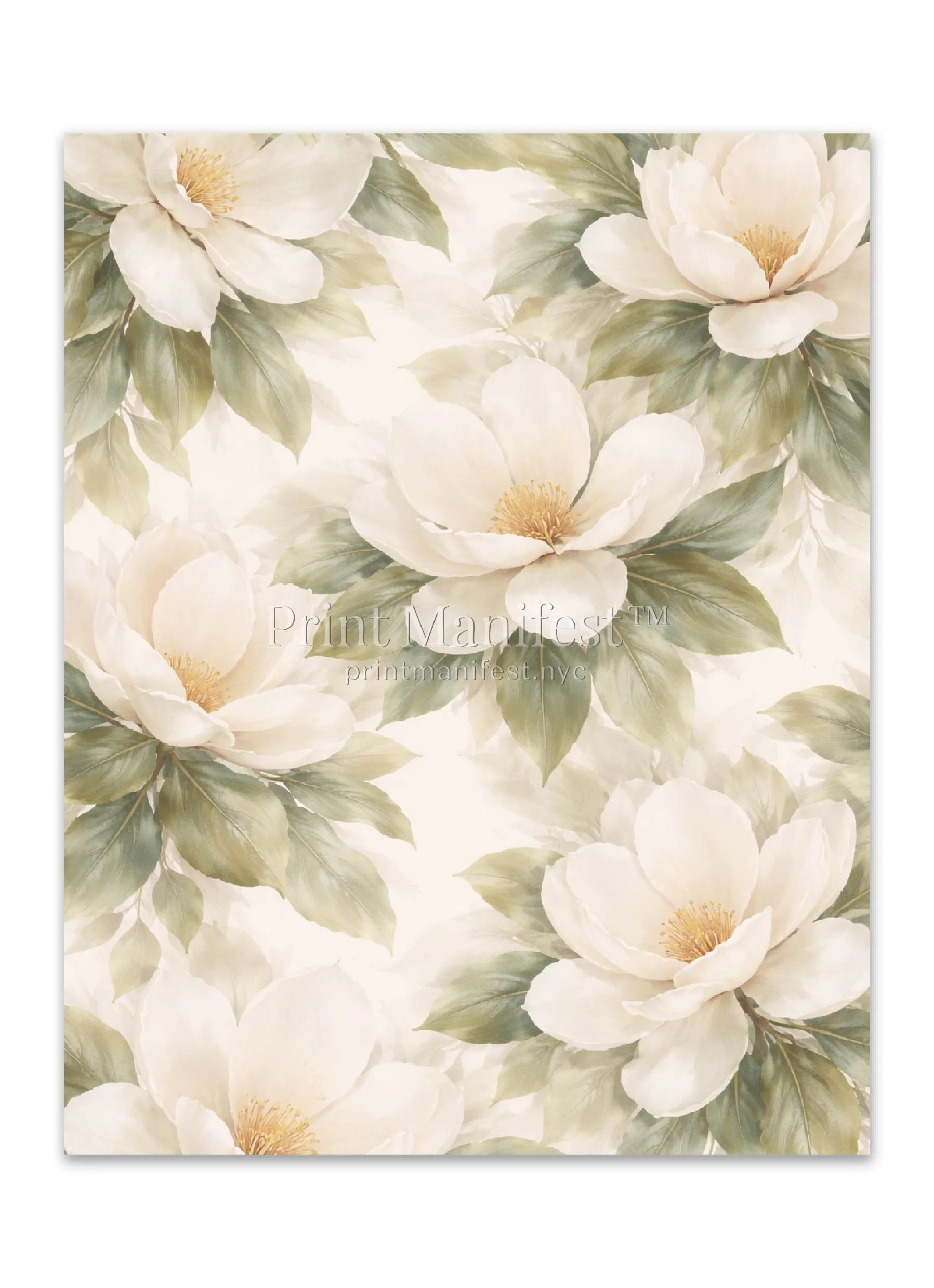 Ivory Magnolia