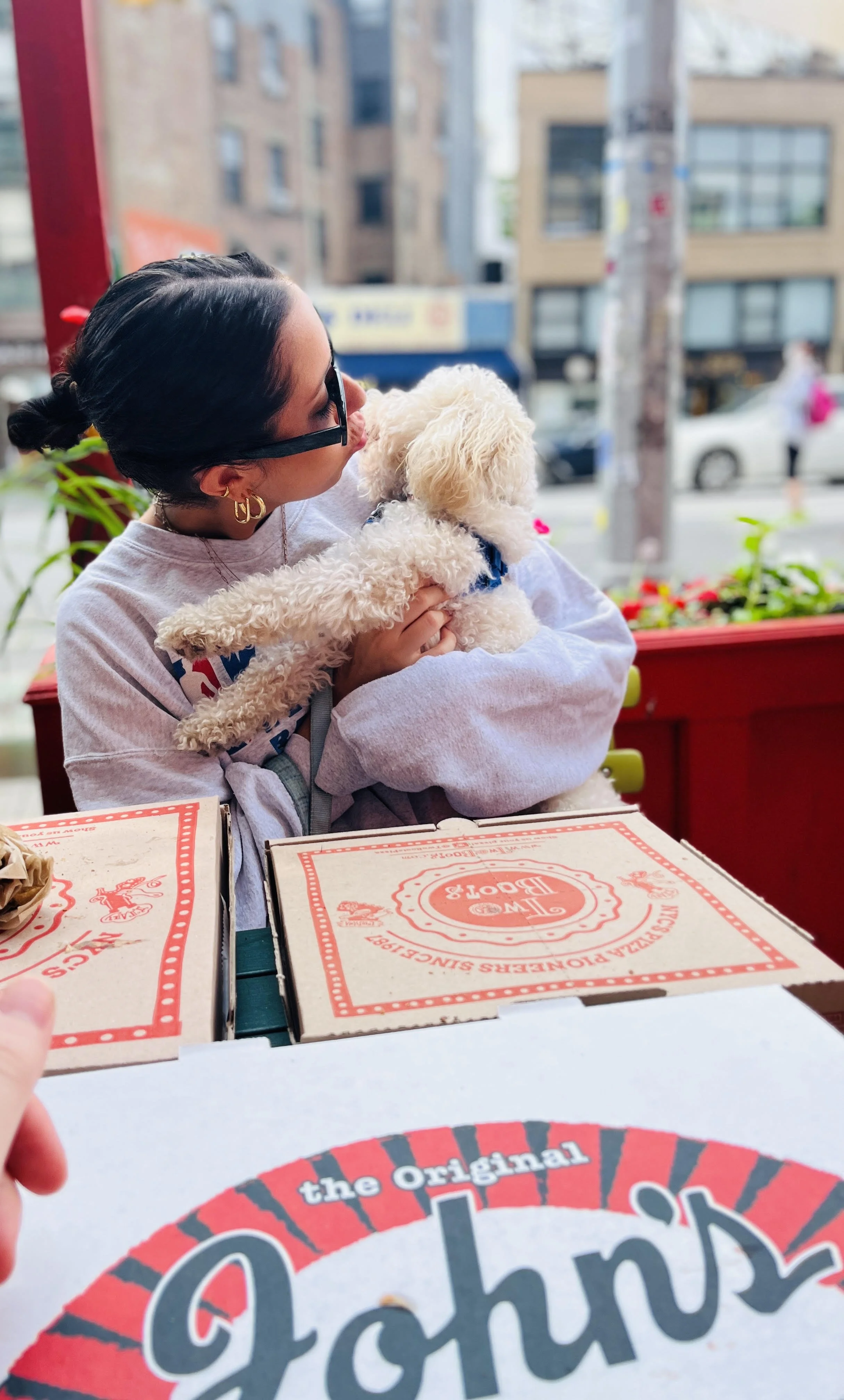 Allergy-Safe Tips for Dog Owners