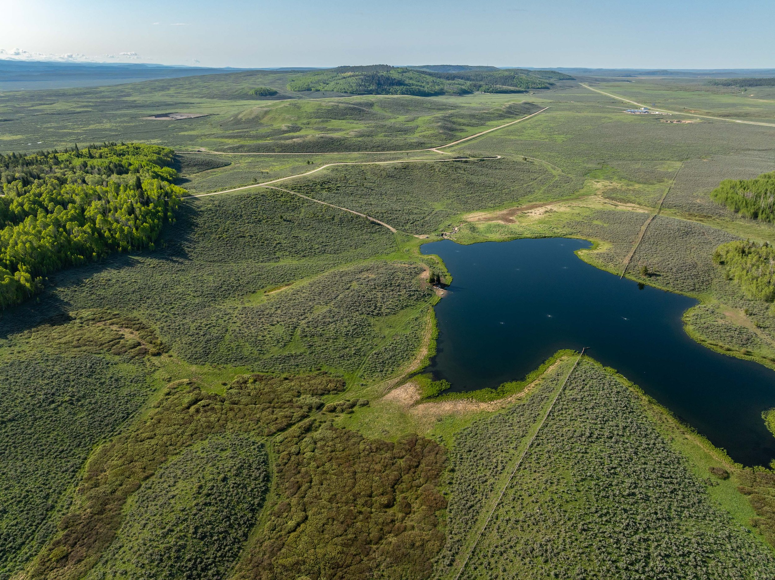 12800 Miner Creek Spring HiRes-2.jpg