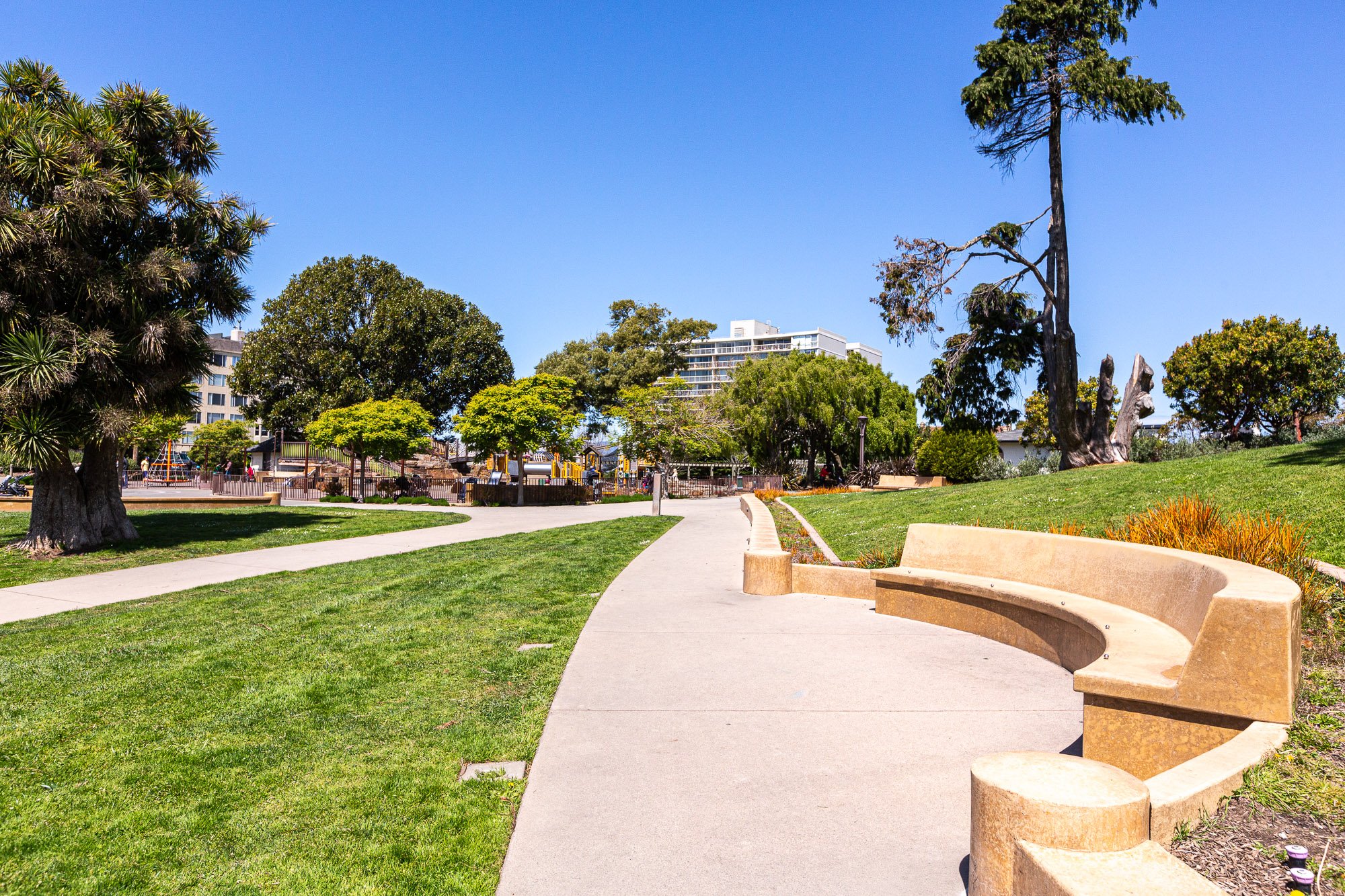 A pathway winding through a park with green grass, trees, and benches on a sunny day.