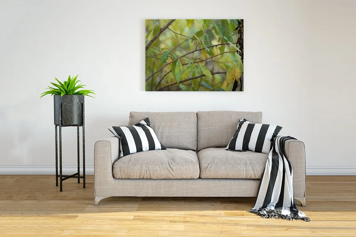 Interior-Wall-Picture-Frame-Mockup copy.jpg