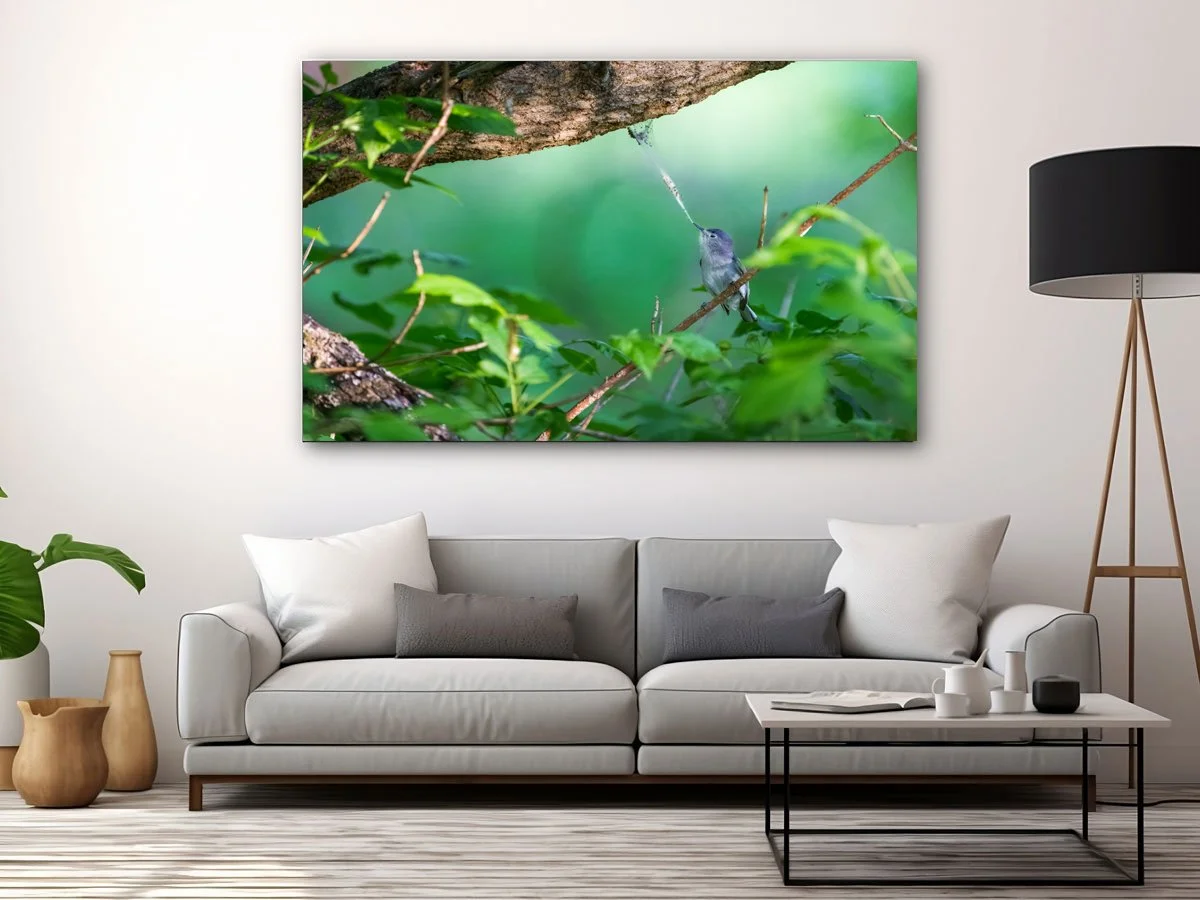 Free-Home-Interior-Horizontal-Framed-Poster-Mockup-Design copy.jpg