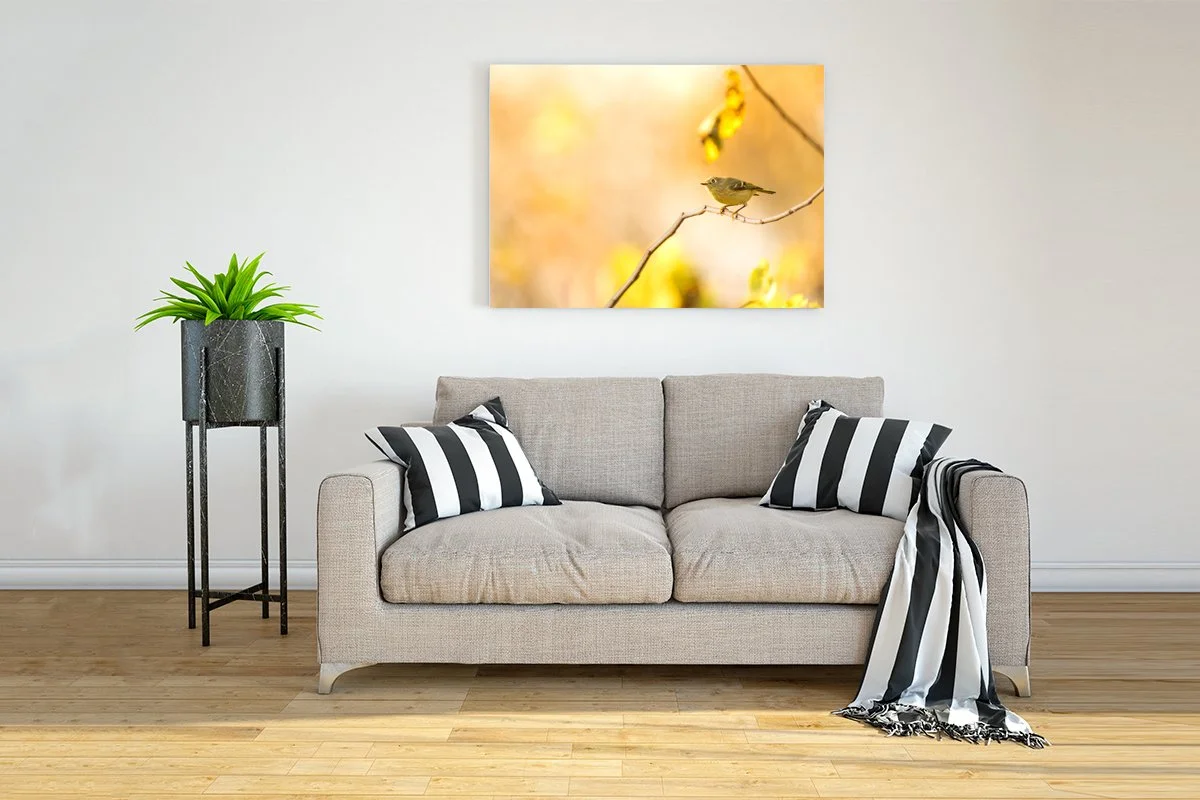 Interior-Wall-Picture-Frame-Mockup copy.jpg