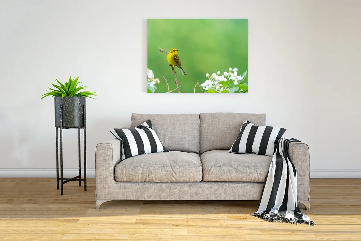 Interior-Wall-Picture-Frame-Mockup copy.jpg