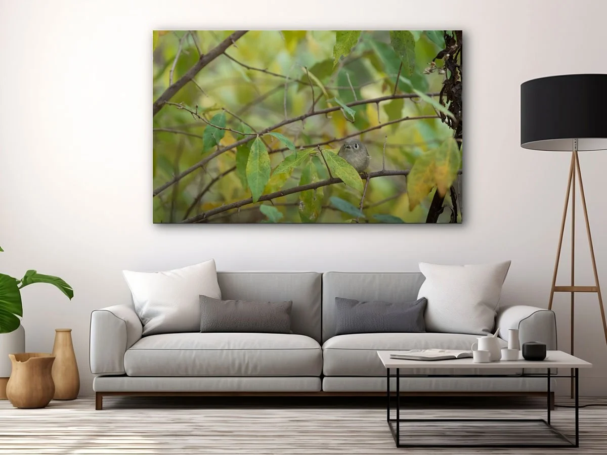 Free-Home-Interior-Horizontal-Framed-Poster-Mockup-Design copy.jpg