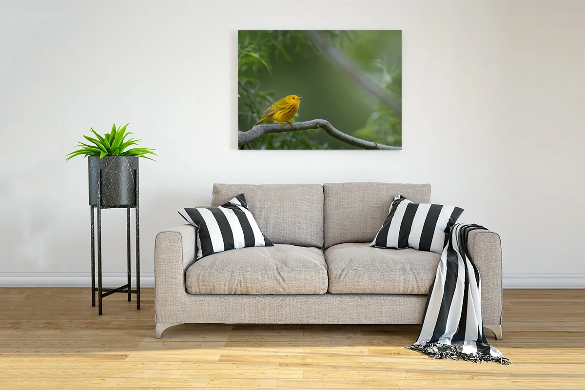 Interior-Wall-Picture-Frame-Mockup copy.jpg