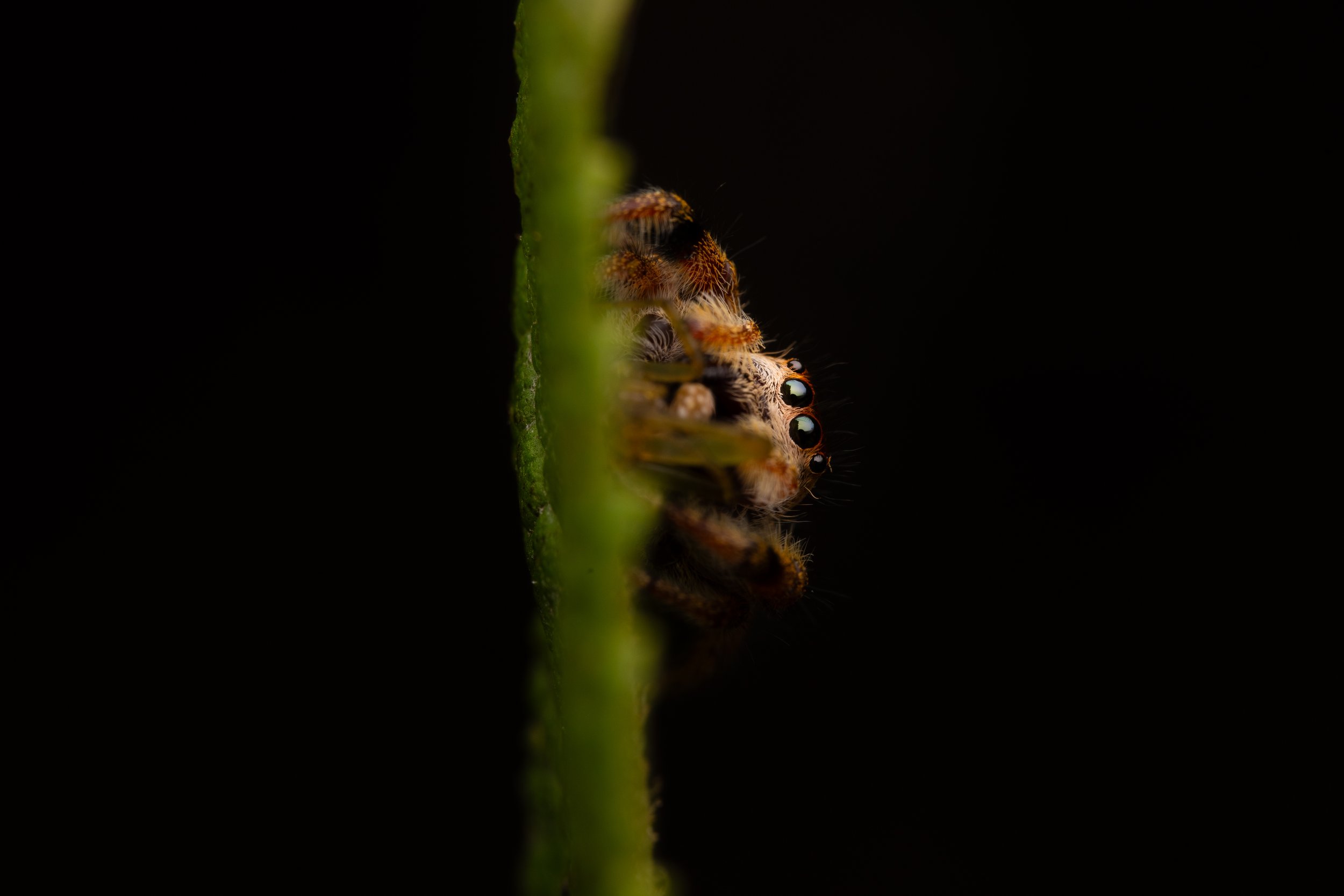 _DSC6928.jpg