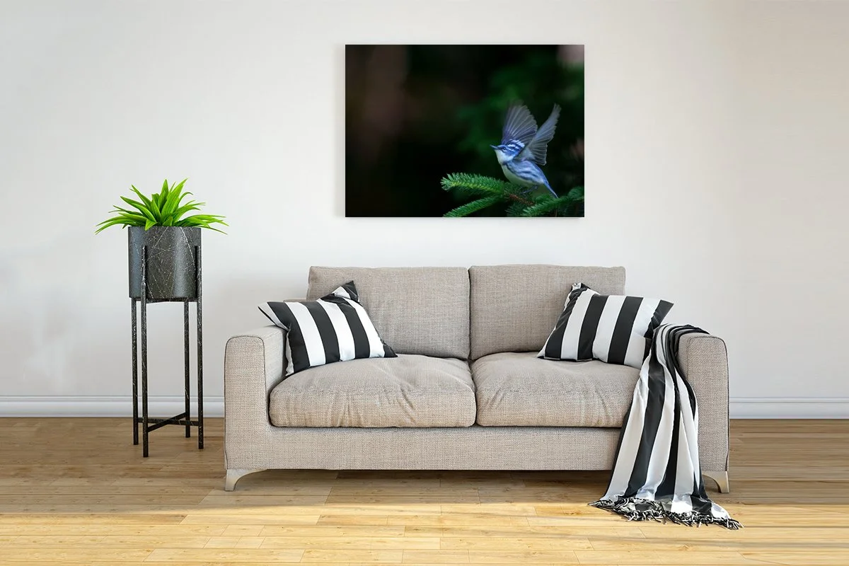 Interior-Wall-Picture-Frame-Mockup copy.jpg