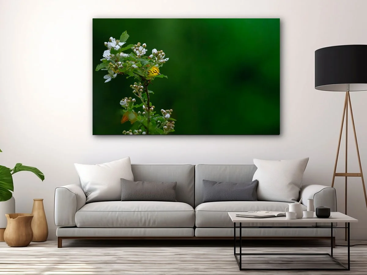 Free-Home-Interior-Horizontal-Framed-Poster-Mockup-Design copy.jpg