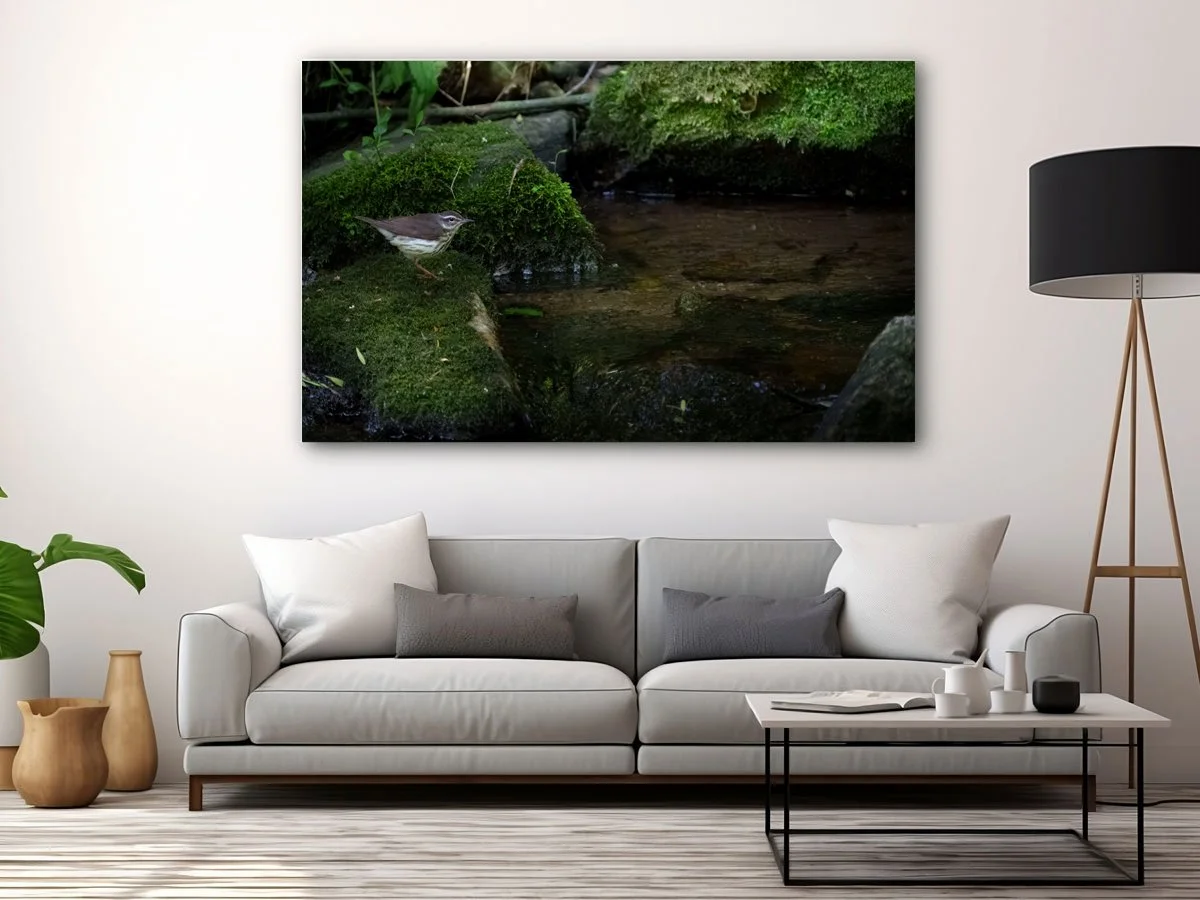 Free-Home-Interior-Horizontal-Framed-Poster-Mockup-Design copy.jpg