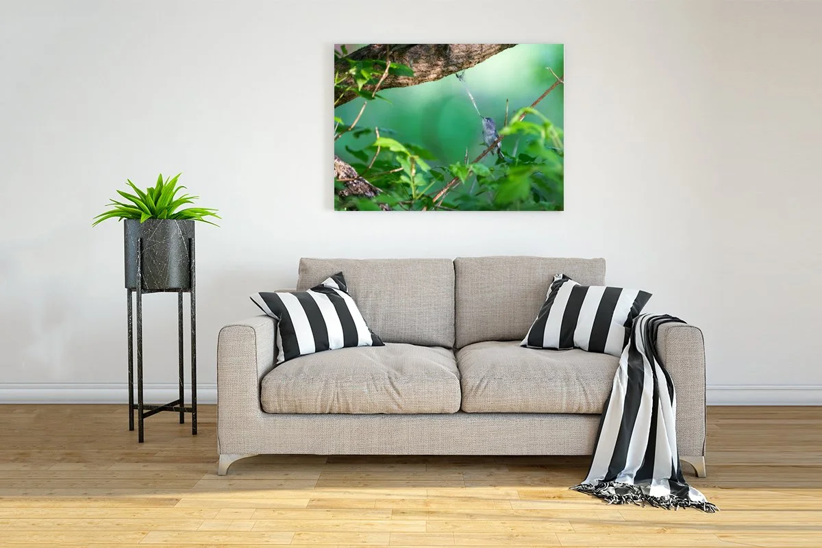 Interior-Wall-Picture-Frame-Mockup copy.jpg