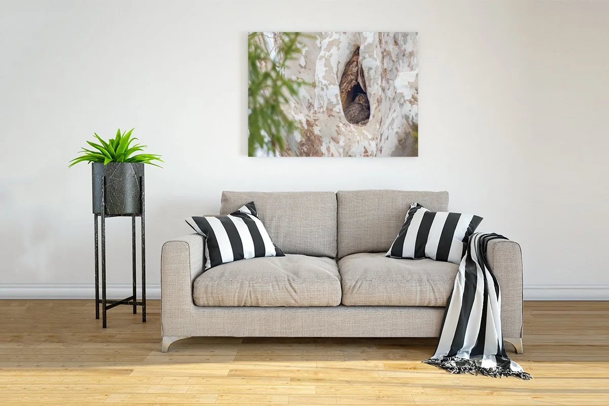 Interior-Wall-Picture-Frame-Mockup copy.jpg